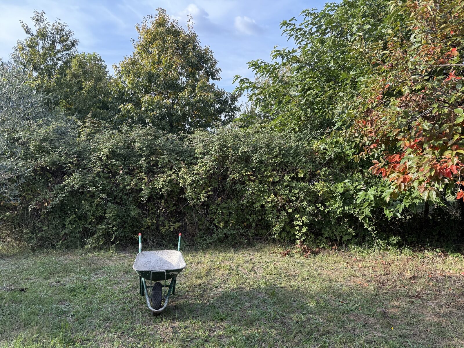 Open landscape, warm haze